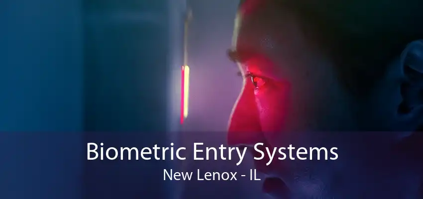Biometric Entry Systems New Lenox - IL