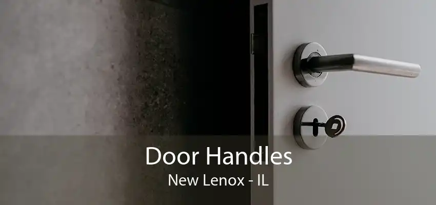 Door Handles New Lenox - IL