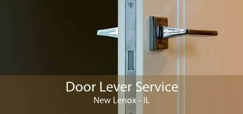 Door Lever Service New Lenox - IL