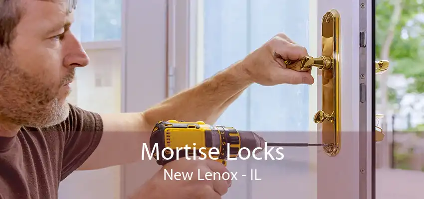 Mortise Locks New Lenox - IL